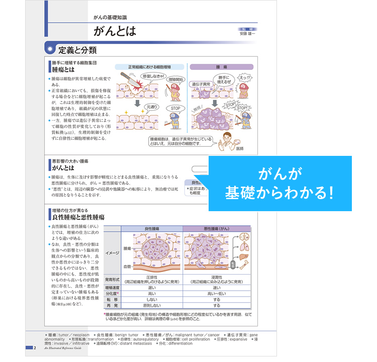 がんが基礎からわかる！