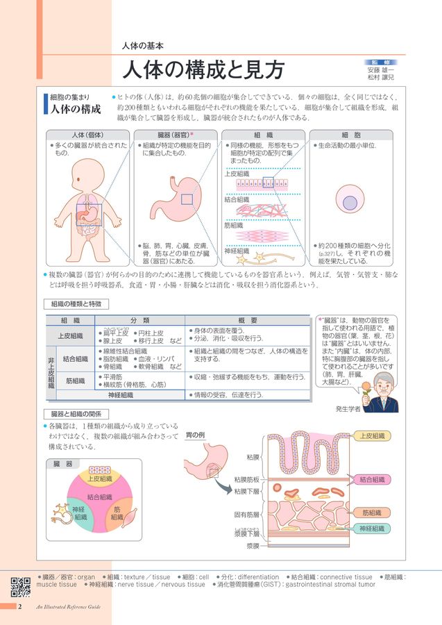 からだがみえる
