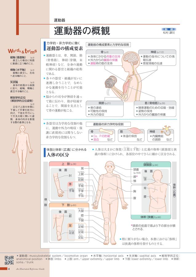 下肢から診る身体の機能構造 頚椎症性脊髄症」｜日本整形外科学会 症状・病気をしらべる