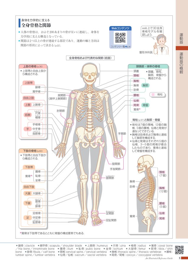 下肢から診る身体の機能構造 リハビリ介護のアセスメントとICF - ほぼ毎日更新！お役立ち情報