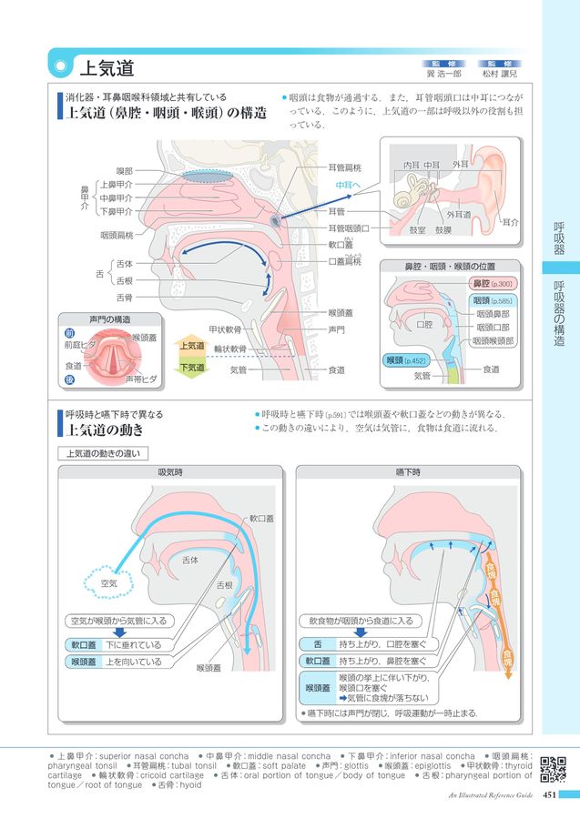 新臨床耳鼻咽喉科学 4巻　咽頭　気管　気管支　食道　音声言語 耳鼻咽喉科・頭頸部外科 Vol.96 No.3 | 雑誌詳細 | 雑誌 | 医学書院