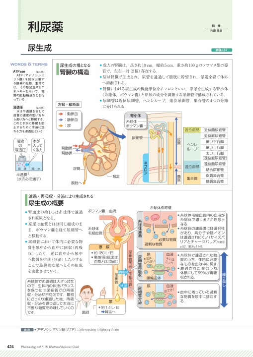 Jmolで見るトピックス分子 12 4