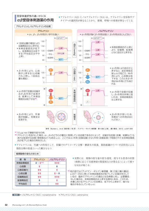 序 エフェドリン 作用 機