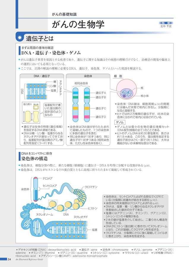 遺伝子とゲノム 上・下セット