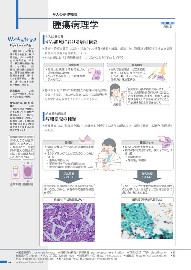 消化管の病理と生検診断 消化管の病理と生検診断 | 中村 恭一 |本 | 通販 | Amazon