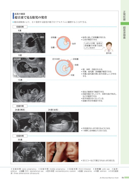 病10 4版 立ち読み 病10 4版 立ち読み