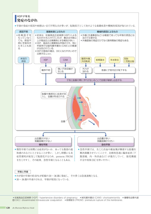 病10 4版 立ち読み