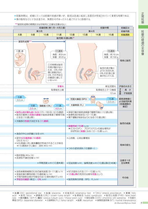 病10 4版 立ち読み