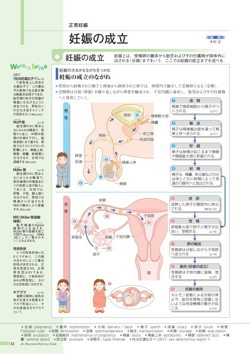 病10-4版_立ち読み