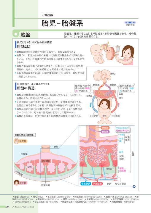 病10 4版 立ち読み