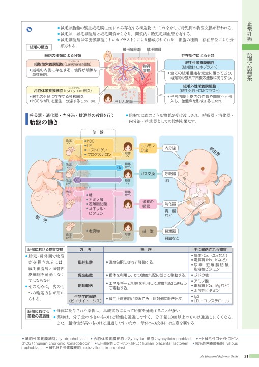 病10 4版 立ち読み 病10 4版 立ち読み