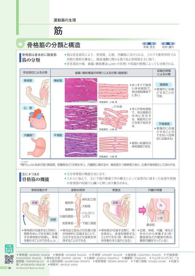 病みえ 病みえ11-2