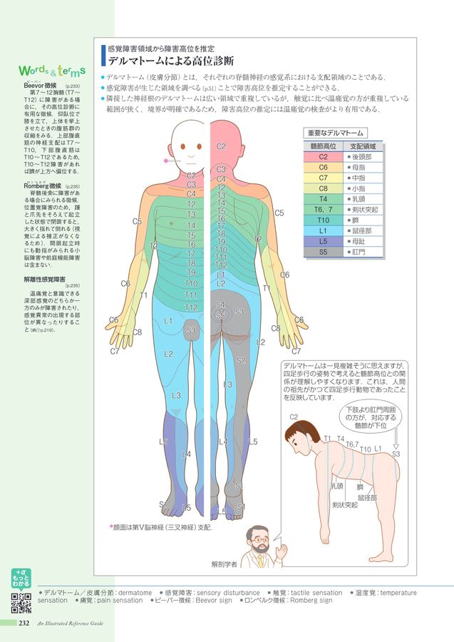 病みえ11-2 病みえ11-2