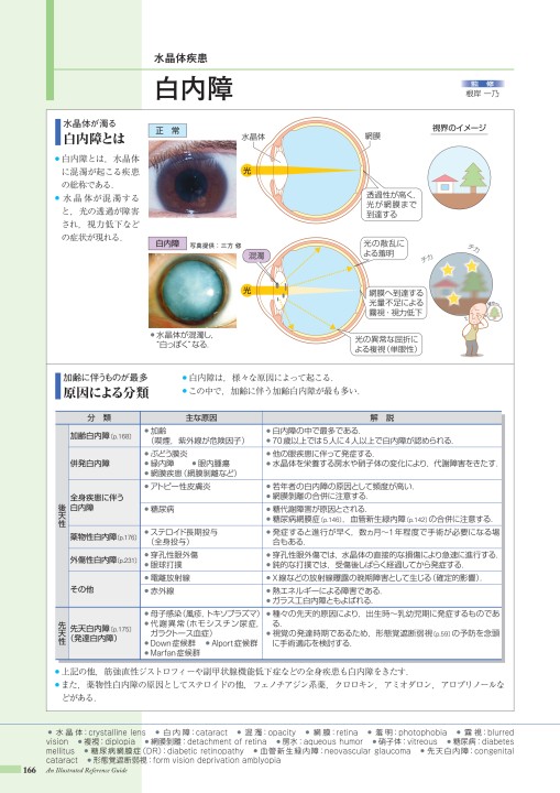 病気が見える！1.2.3.4.7.8 視力検査、1.0の次はどうして1.1ではなく1.2なの？ - 日本経済新聞