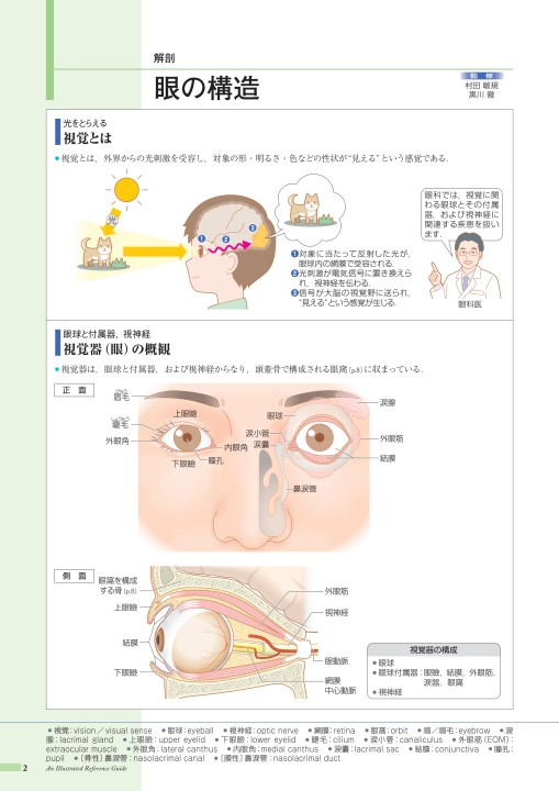 病みえ12 1版 1刷 立ち読み