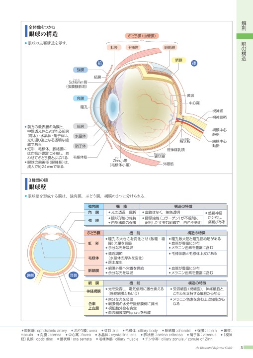 病みえ12 1版 1刷 立ち読み