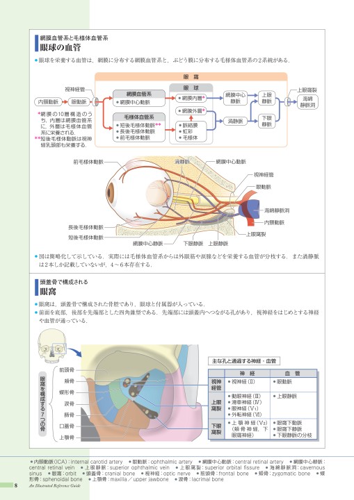 病みえ12 1版 1刷 立ち読み