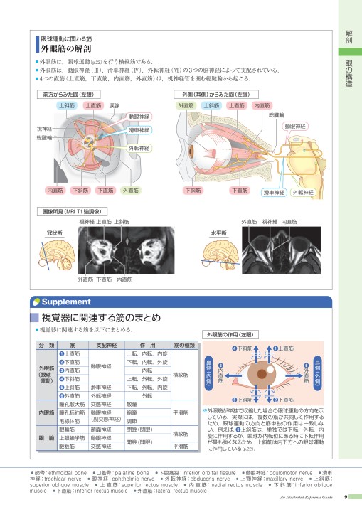 病みえ12 1版 1刷 立ち読み