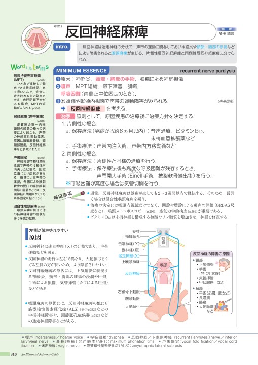 ゆ　　13日まで取り置き　病気が見える 病13-1版_web立ち読み_201201