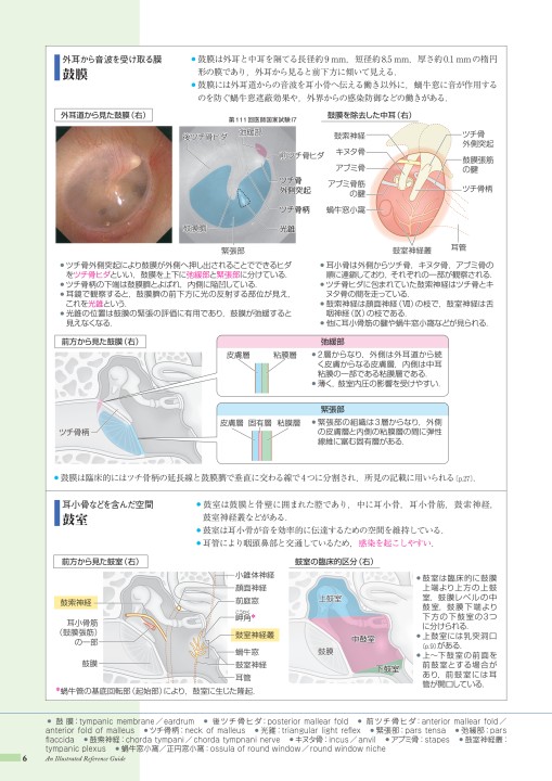 病13-1版_web立ち読み_201201