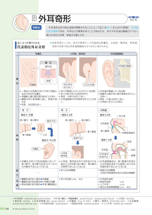 病13-1版_web立ち読み_201201