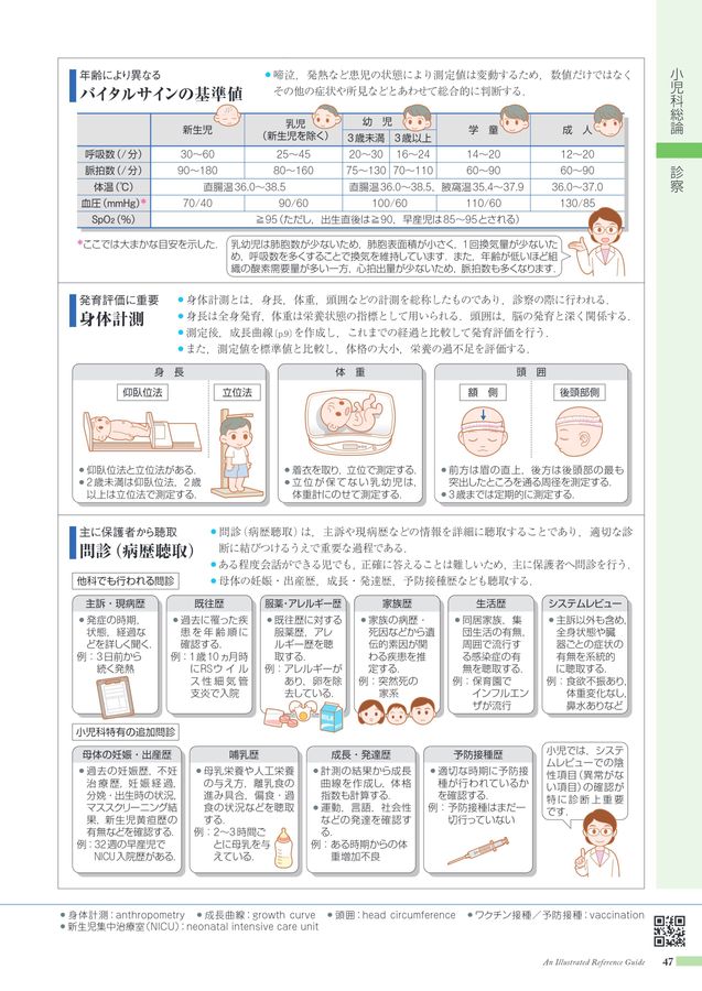 性器　発育過程　写真 