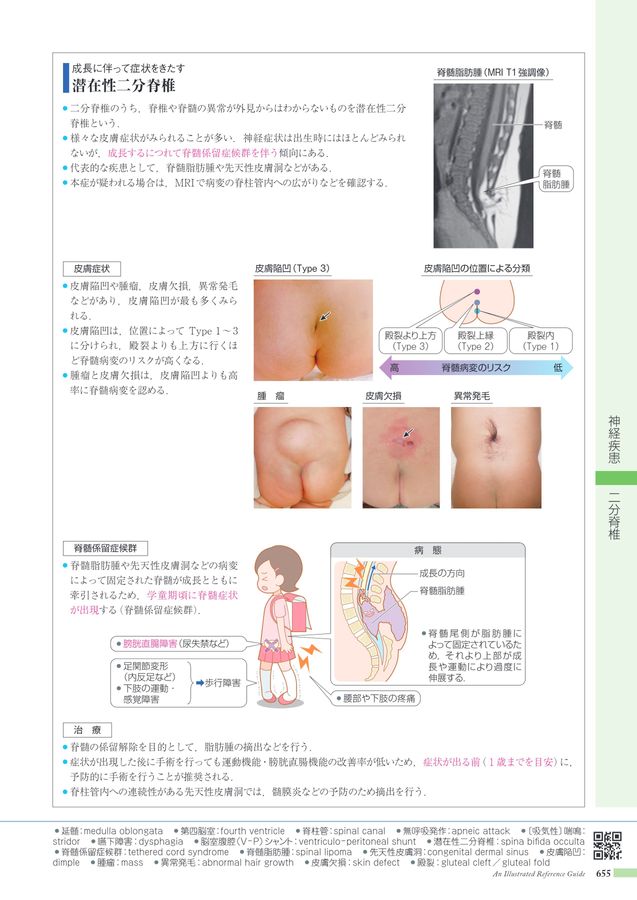 シエン社 | 口腔解剖学1 骨学