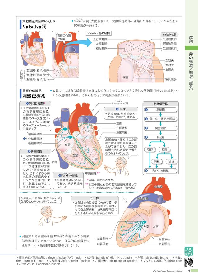 病みえ2-6Web立ち読み