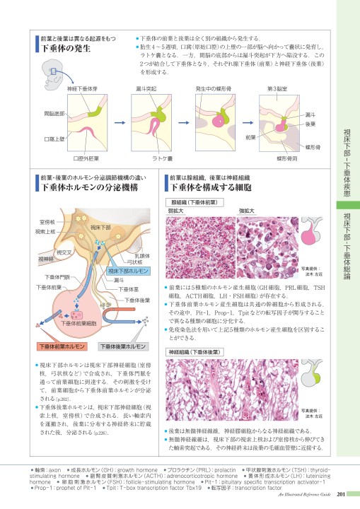 病3 5版 Web立ち読み用