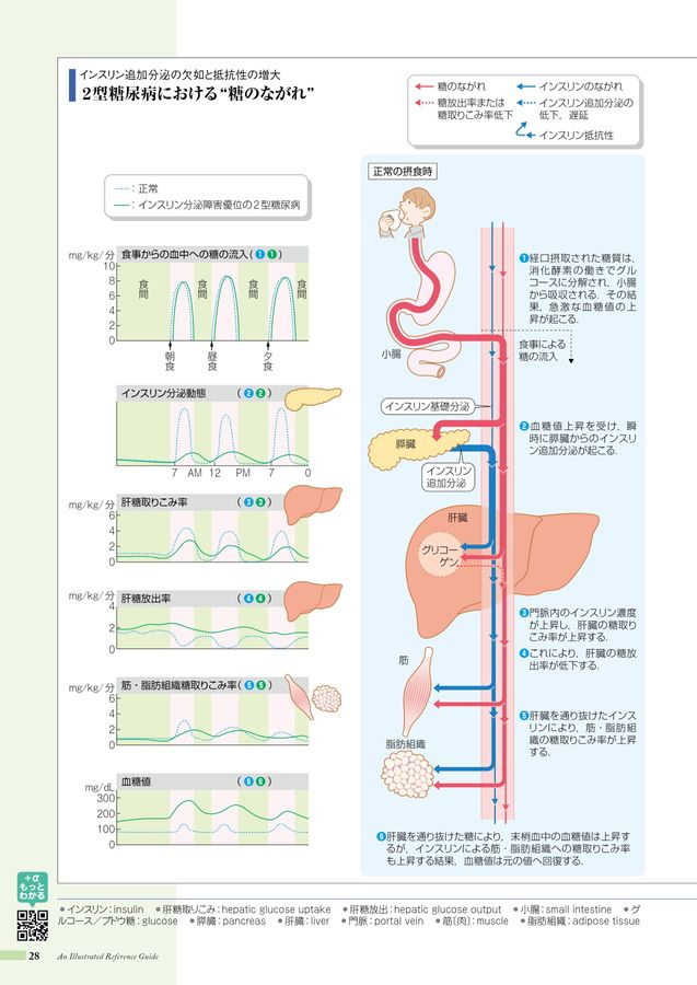 病みえ3-6