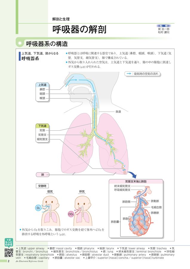 病みえ4-4