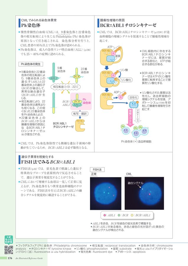 病みえ5-3