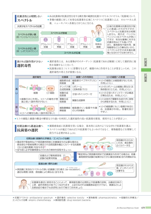病6 2版 立ち読み