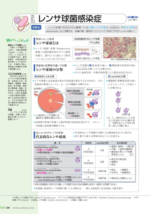 性 連鎖 b 群 球菌 溶血