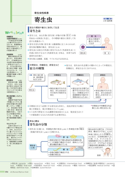 病6 2版 立ち読み 病6 2版 立ち読み