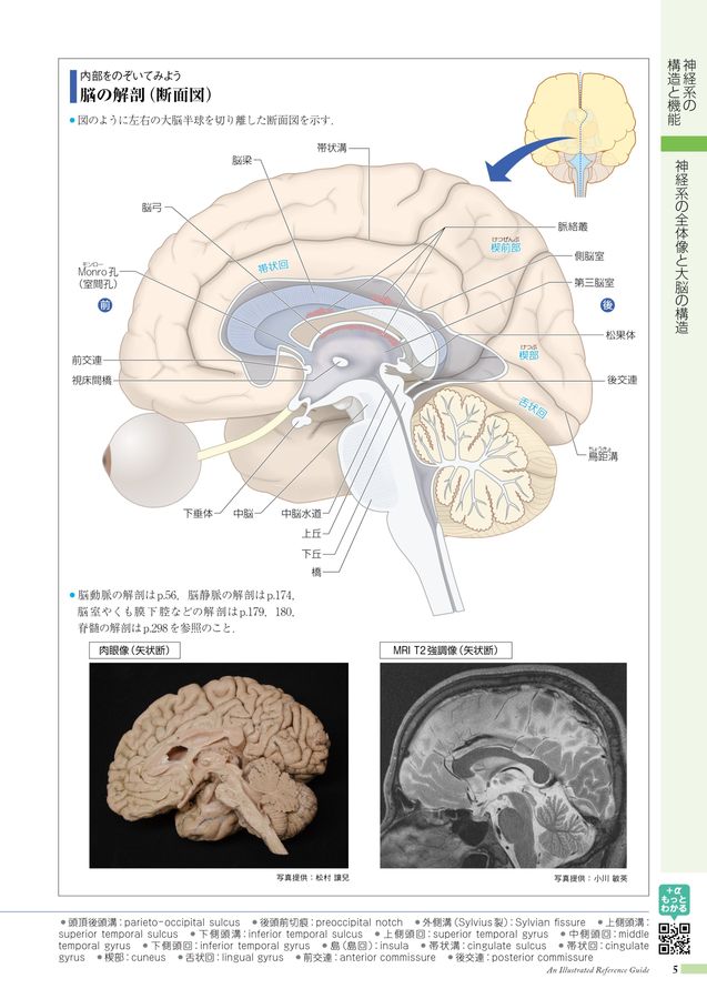 病7-3版Web立ち読み