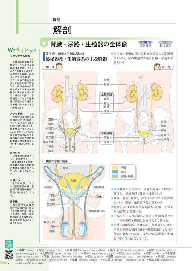 そとはねさん専用　病みえ　1〜8 病気がみえる - チーム医療を担う医療人共通のテキスト