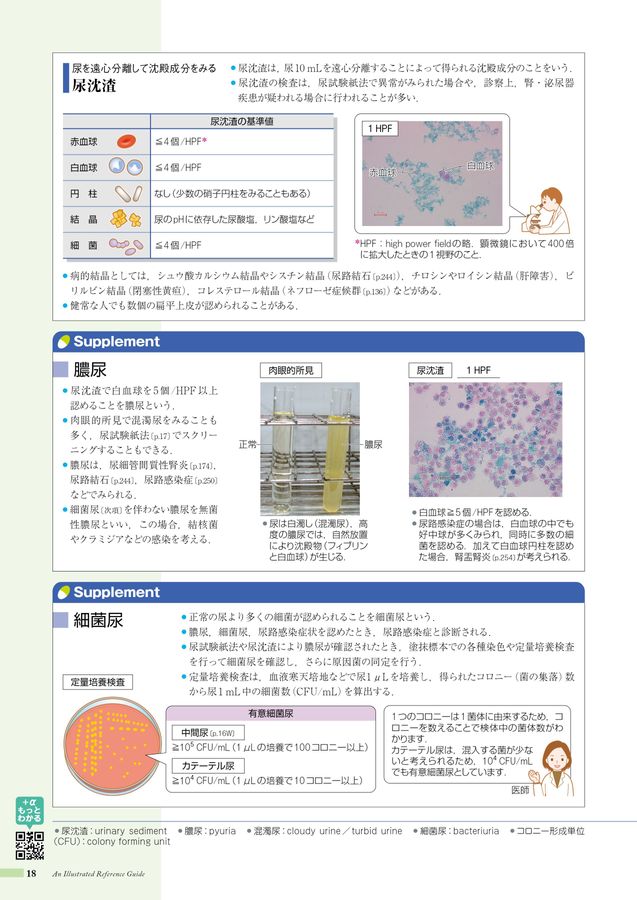 病名彙解 神戸女子大学 展示