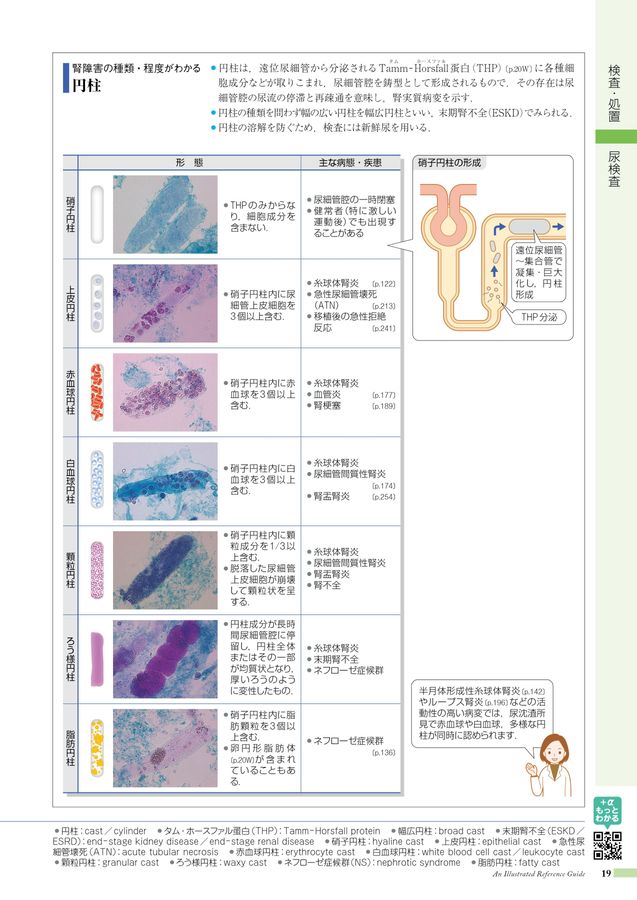 校釈 諸病源候論 校釈 諸病源候論