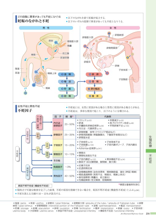 病9 4版 立ち読み 病9 4版 立ち読み
