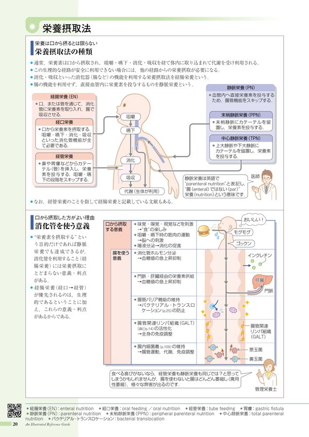 食と健康がみえるWeb立ち読み