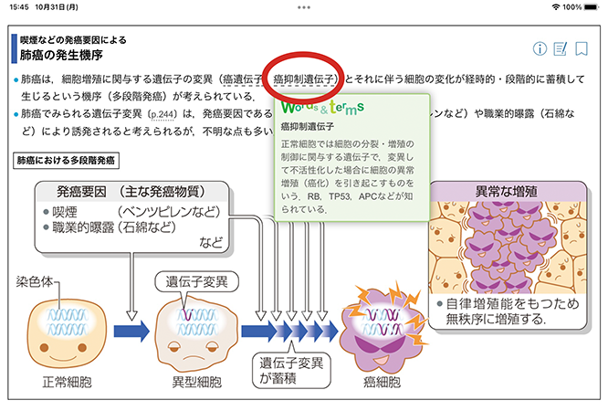 用語解説