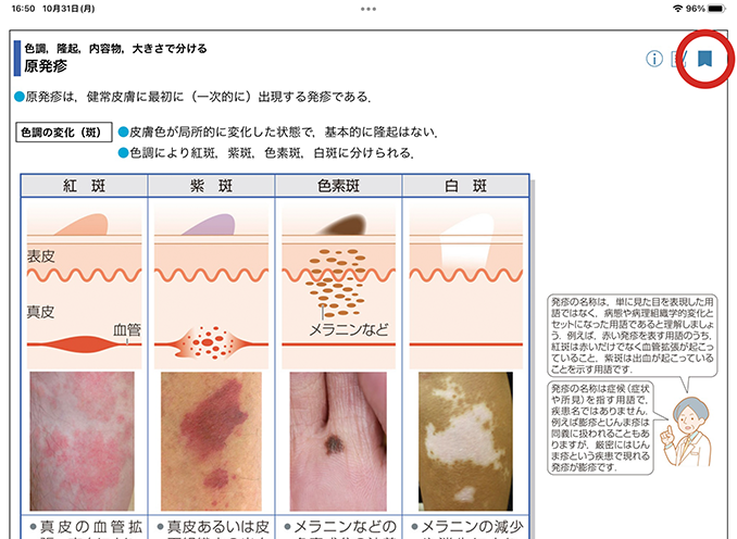 用語解説