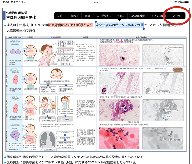 用語解説