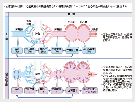 工夫されたイラスト