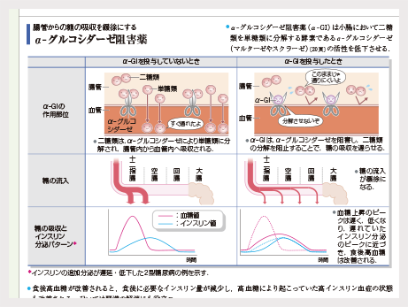 「対比」で実感