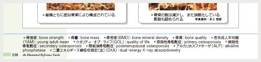 知りたい情報を視覚的にすばやく探せ、理解できます