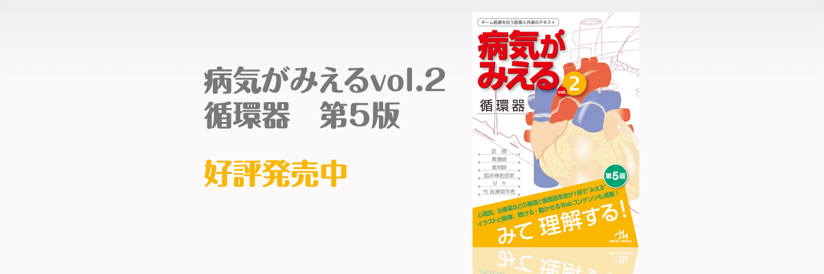 20250円 日本製 病気がみえる セット vol.1〜14