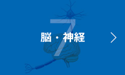 7 脳・神経