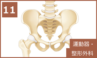 11 運動器・整形外科